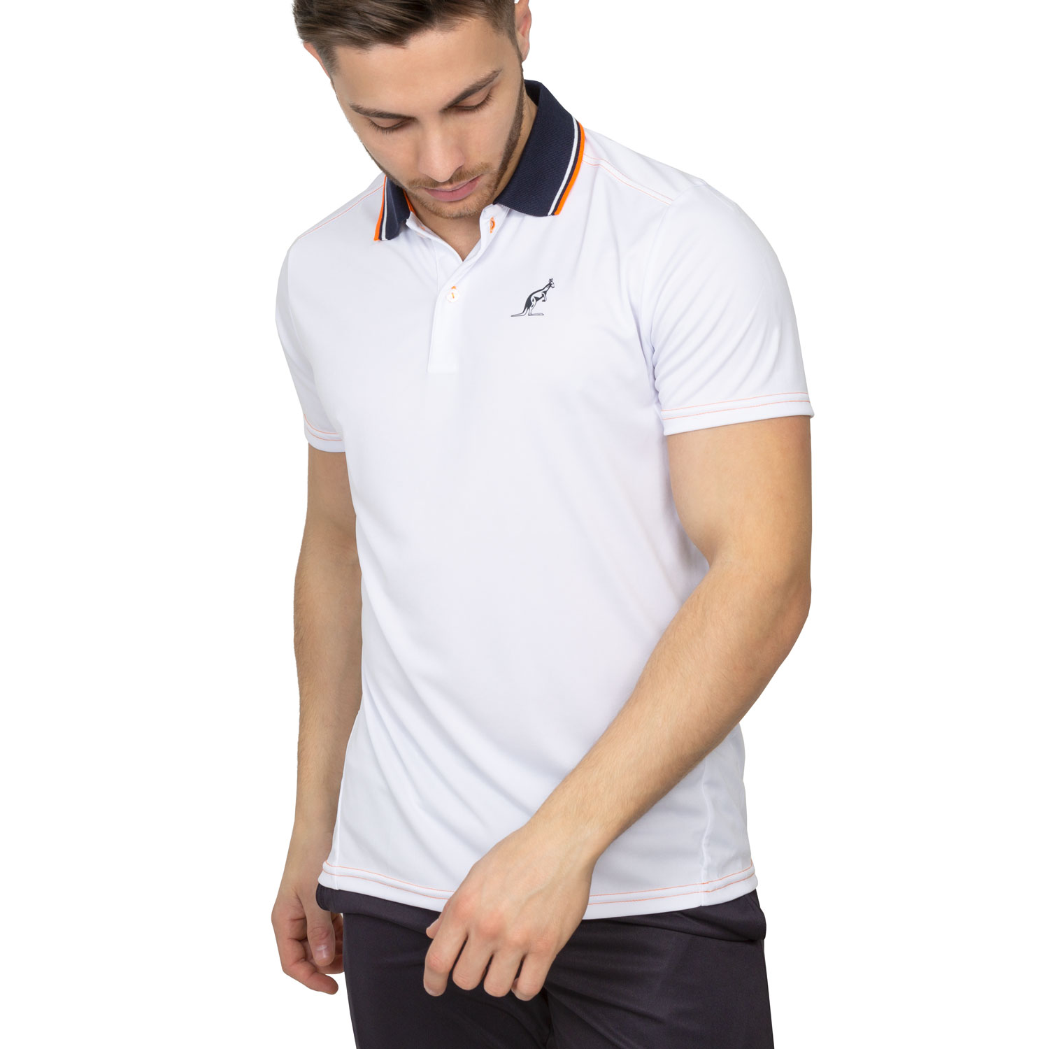 ace polo