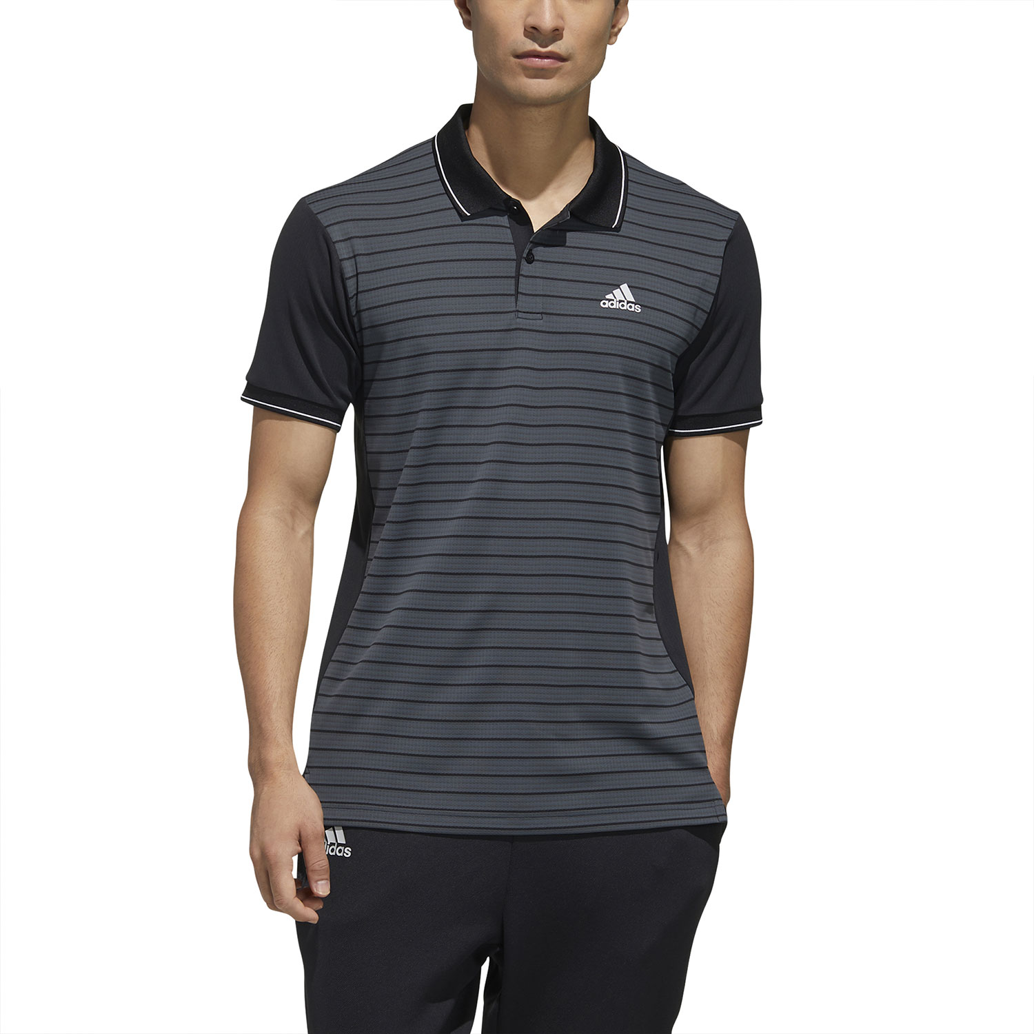 polo adidas tennis