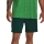 Under Armour Vanish Woven Graphic 6in Shorts - Greenwood/Green Screen