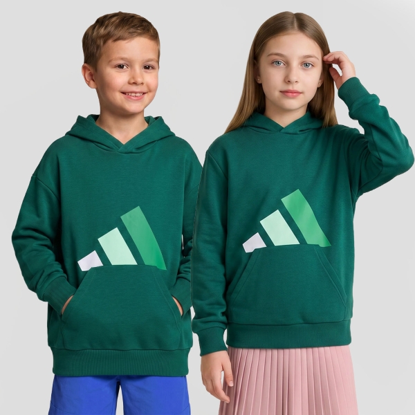 Boy Chandales y Sudadera adidas Essentials Sudadera Ninos Collegiate Green/White/Clear Mint/Court Green KY8033