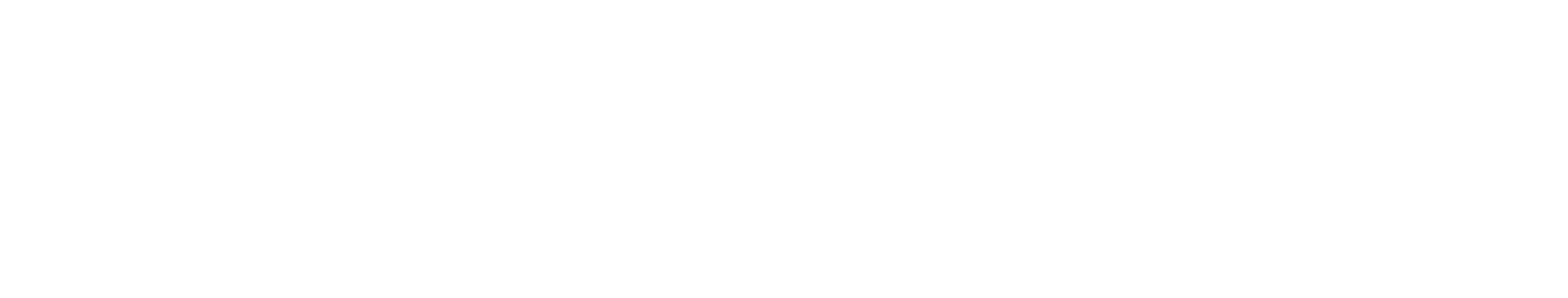 dunlop-logo